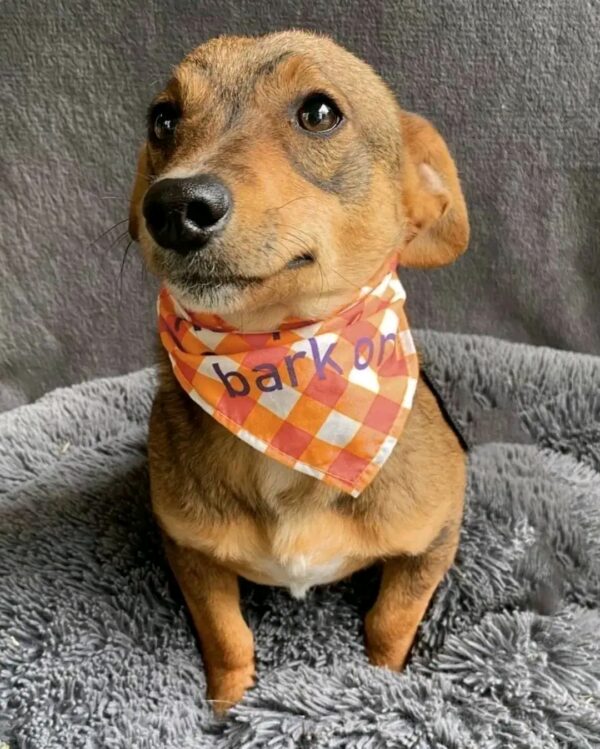 BENNY